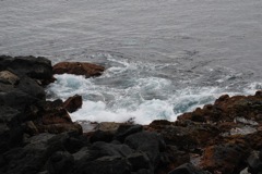 Rocky shores near Feteira, Faial, Azores