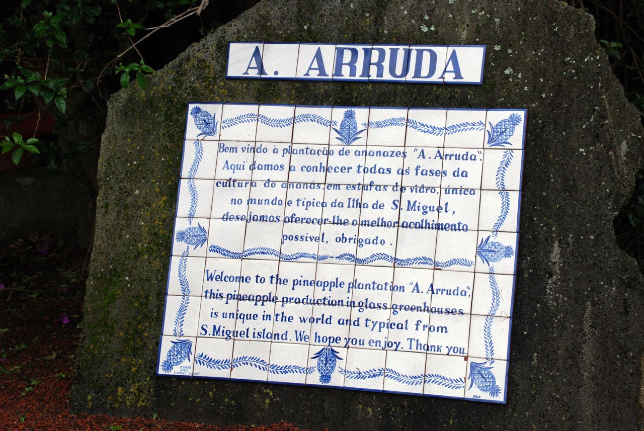 Arruda Pineapple Planation-Welcome Tile