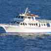 2014-01-25-cruise-hawaii-maui-party-boat-jw-1.jpg