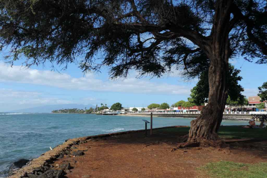Lahaina Harbor