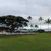 2014-01-26-cruise-hawaii-kauai-scenery-dg-1.jpg