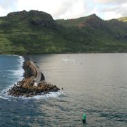 2014-10-25-cruise-sp-kauai-scenic-tour-2.jpg