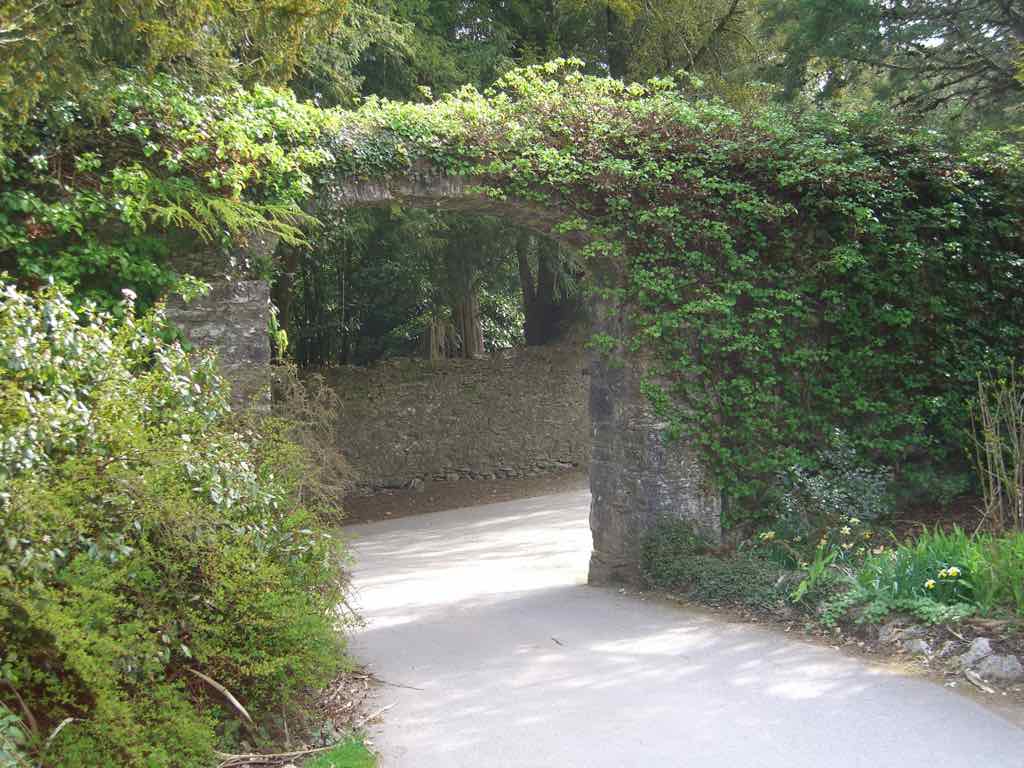 Blarney Castle road