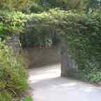 cork-blarney-castle-grounds-road-3.jpg