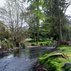 cork-blarney-castle-grounds-stream-1-dg.jpg