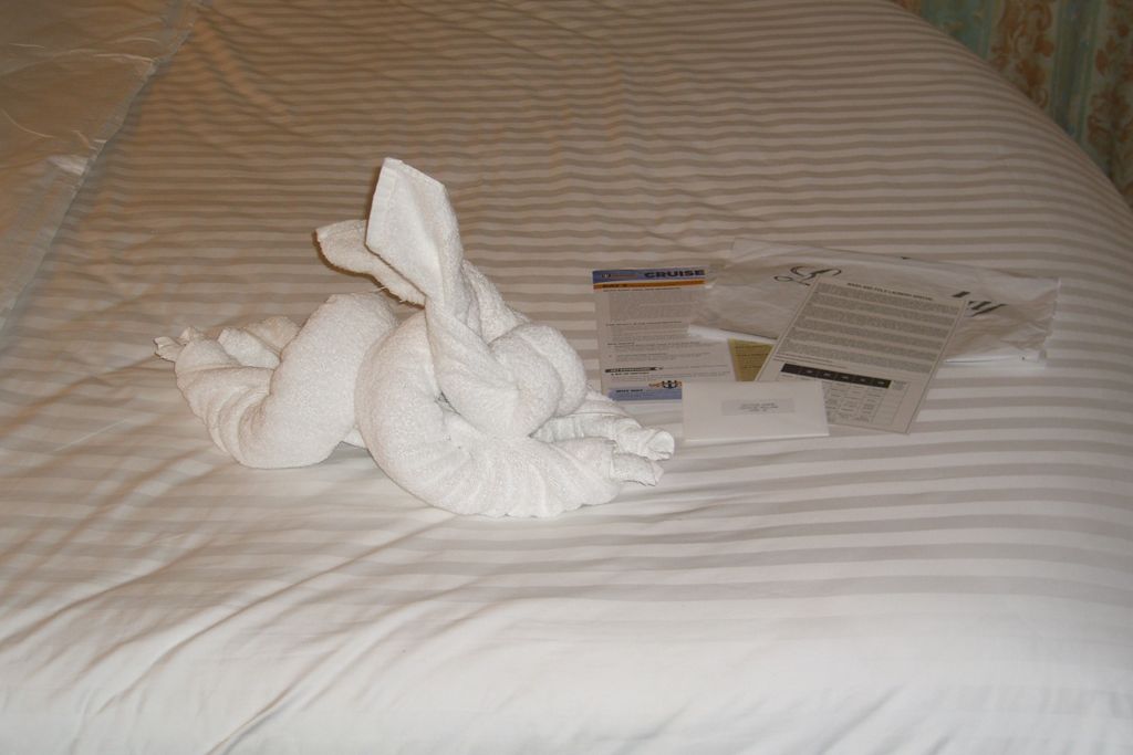 2011-11-02-cruise-ns-towel-art-bg