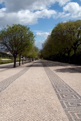 Tree-lined plaza at the Edward VII monument, Lisbon