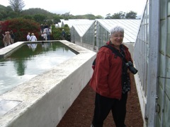 Diane at Pineapple Plantation