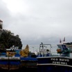 2012-10-28-cruise-italy-funchal-madeira-boatyard.jpg