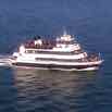 2014-01-19-cruise-hawaii-sf-party-boat-jw-3.jpg