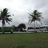 2014-11-01-sp-pago-bus-tour-5-busses.jpg