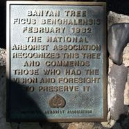 2014-10-26-sp-lahaina-banyan-tree-arborist-plaque.jpg